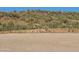 Large lot with desert landscape and fencing at 48515 N 13Th Ave, New River, AZ 85087