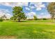 View of a lush green space with mature trees at 17833 N 45Th Ave, Glendale, AZ 85308