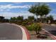 Landscaped entrance to community with curved roadway and lush greenery at 1255 N Arizona Ave # 1099, Chandler, AZ 85225