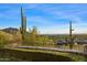 Landscaped backyard with mountain views at 10719 E Rimrock Dr, Scottsdale, AZ 85255