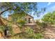 View of the home's backyard from behind trees at 259 W Satinka Dr, San Tan Valley, AZ 85140