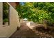 Landscaped backyard with a tree and stone pathway at 930 Leisure World --, Mesa, AZ 85206