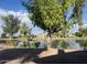 View of a peaceful pond with lush landscaping at 4906 E Lake Point Cir, Phoenix, AZ 85044
