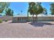 Home's backyard with gravel and mature trees at 4906 E Lake Point Cir, Phoenix, AZ 85044