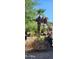 Landscaped backyard with a large palm tree at 2233 E Behrend Dr # 41, Phoenix, AZ 85024