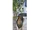 Rustic water fountain in the garden, adding tranquility at 2233 E Behrend Dr # 41, Phoenix, AZ 85024
