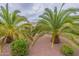 Landscaped front yard with palm trees at 13441 W El Sueno Ct, Sun City West, AZ 85375