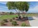 Community park with covered picnic area and landscaping at 20165 W Hadley St, Buckeye, AZ 85326