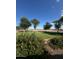 Landscaped yard with blooming flowers and mature trees at 376 N Iron Horse Dr, Coolidge, AZ 85128
