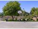 Outdoor basketball court with hoop and surrounding landscaping at 2585 E San Miguel Dr, Casa Grande, AZ 85194