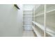 Spacious pantry with ample shelving at 11040 E Tumbleweed Ave, Mesa, AZ 85212