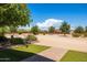 Landscaped backyard with artificial turf and large trees at 1525 W Maddock Rd, Phoenix, AZ 85086