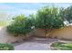 Backyard with citrus trees and a brick patio at 20377 W Terrace Ln, Buckeye, AZ 85396