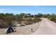 Long driveway leading to a large, two-story home in a desert setting at 8876 S Santa Elizabeth Dr, Goodyear, AZ 85338