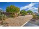 Large backyard with gravel, mature trees, and a clothesline at 5862 E Duncan St, Mesa, AZ 85205