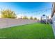Large backyard with grassy area and basketball hoop at 20442 E Rosa Rd, Queen Creek, AZ 85142