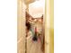 Large walk-in closet with ample shelving and hanging space at 11596 W Sierra Dawn Blvd # 36, Surprise, AZ 85378