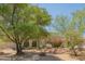 Landscaped front yard with mature trees and desert landscaping at 3731 E Equestrian Trl, Phoenix, AZ 85044