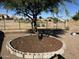 Landscaped backyard with a circular garden bed and a mature tree at 29654 N Broken Shale Dr, San Tan Valley, AZ 85143