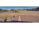 Landscaped backyard with gravel pathway and desert plants at 32120 N 167Th Ave, Surprise, AZ 85387