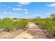 Paved pathway winds through desert landscape, offering a scenic walking route at 12687 W Caraveo Pl, Peoria, AZ 85383