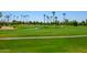 Scenic view of a lush golf course with palm trees and a pond at 9565 W Marco Polo Rd, Peoria, AZ 85382