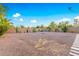 Landscaped backyard with gravel and various cacti at 17797 W Carmen Dr, Surprise, AZ 85388