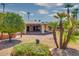 Spacious backyard with covered patio, desert landscaping, and palm trees at 19434 N 130Th Ave, Sun City West, AZ 85375