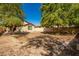 Spacious backyard with a large grassy area and mature trees at 205 N 107Th Dr, Avondale, AZ 85323