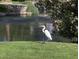 Great egret in front of a tranquil lake at 514 S Marina Dr, Gilbert, AZ 85233