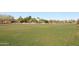 Large grassy area perfect for recreation at 514 S Marina Dr, Gilbert, AZ 85233