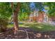 Backyard with mature trees, grassy area, and pool view at 1201 W Washington Ave, Gilbert, AZ 85233