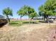 Large grassy backyard with trees and fencing at 9427 E University Dr # 3, Mesa, AZ 85207