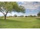 Landscaped golf course with a tree and rolling greens at 21320 N 56Th St # 2145, Phoenix, AZ 85054