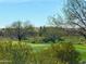 Partial view of a golf course from a residential area at 41253 N Whistling Strait Ct, Anthem, AZ 85086