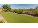Landscaped backyard with artificial turf and mountain views at 41253 N Whistling Strait Ct, Anthem, AZ 85086
