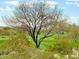Scenic view of the golf course and surrounding landscape at 41253 N Whistling Strait Ct, Anthem, AZ 85086