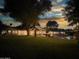 Landscaped backyard with pool, string lights, and seating at 6614 W Sweetwater Ave, Glendale, AZ 85304