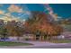 Beautiful home with mature landscaping and a large driveway at 6614 W Sweetwater Ave, Glendale, AZ 85304