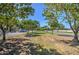 Residential street lined with mature trees at 3677 E Park Ave, Gilbert, AZ 85234