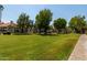 Well-maintained community lawn with mature trees and landscaping at 19820 N 13Th Ave # 226, Phoenix, AZ 85027