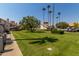 Landscaped community green space with palm trees at 19820 N 13Th Ave # 226, Phoenix, AZ 85027