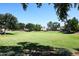 Large grassy park area with mature trees at 4306 E Tyson St, Gilbert, AZ 85295