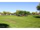 Large grassy park with playground and picnic areas at 4306 E Tyson St, Gilbert, AZ 85295
