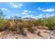 Desert landscape with a distant view of a house and mountains at 37143 N Greythorn Cir, Carefree, AZ 85377
