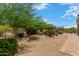 Landscaped backyard with desert plants and trees at 37143 N Greythorn Cir, Carefree, AZ 85377