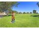 Scenic golf course with wood carving and lush greens at 1509 E Peach Tree Dr, Chandler, AZ 85249