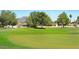 Golf course view showcasing well-manicured greens at 1509 E Peach Tree Dr, Chandler, AZ 85249