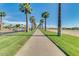 Palm tree-lined walkway in a residential area at 18211 W Sequoia Dr, Goodyear, AZ 85338