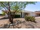 Ranch style home with a nicely landscaped front yard at 9827 W Palmer Dr, Sun City, AZ 85351